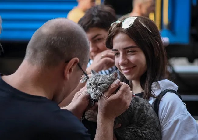 Ukrainada urushning 147-kuni: Xarkivda halok bo‘lgan o‘g‘li tepasida duo o‘qiyotgan ota, Donbassda hujumlar davom etmoqda (foto)