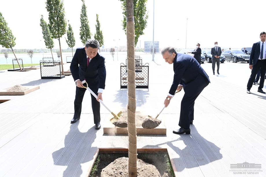 Shavkat Mirziyoyev va Si Szinpin Samarqandda daraxt ekdilar (foto)