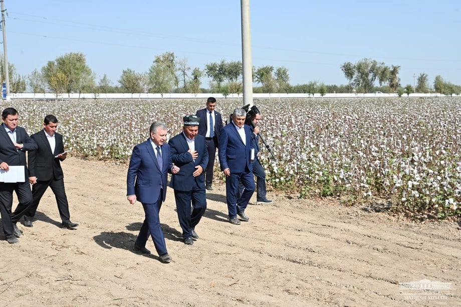 Президент Сирдарёда пахта даласида (фото)