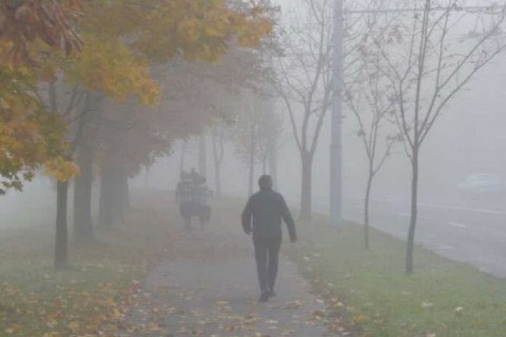 29 декабр кунги об-ҳаво маълумоти эълон қилинди