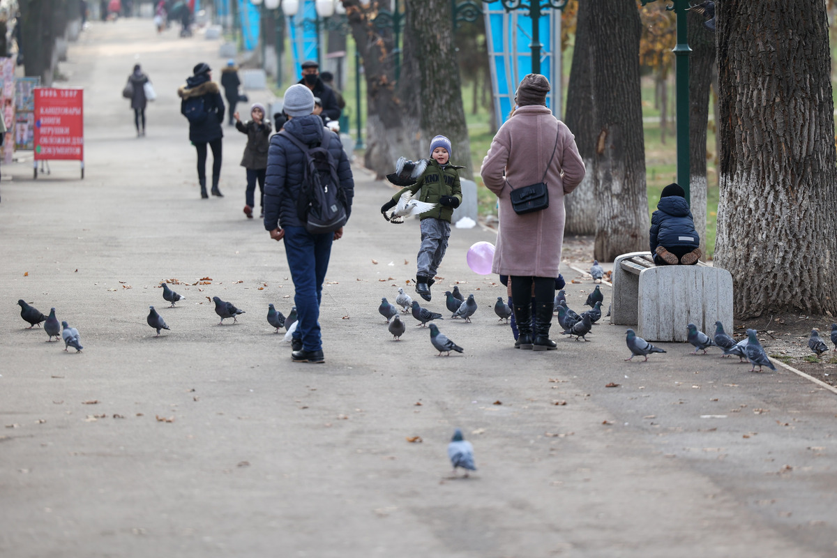 «O‘zgidromet» 19 yanvar uchun ob-havo prognozini e’lon qildi