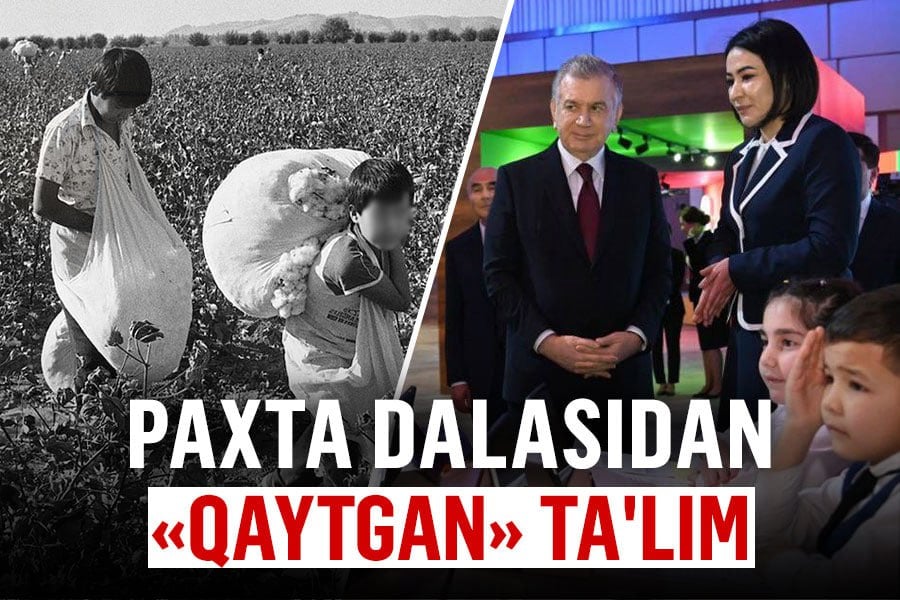 Мактабдаги шароитдан ўқитувчиларнинг кўнгли тўляптими?