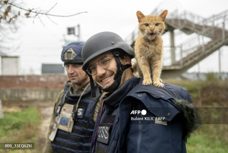 Бахмут атрофида AFP журналисти ҳалок бўлди