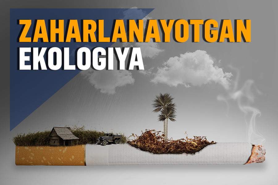 Atrof-muhitni zaharlayotgan chekuvchilarning zararlari haqida faktlar
