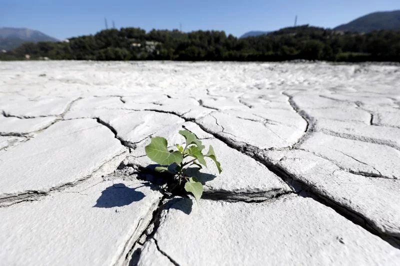 El-Nino boshlanmoqda: Yerda eng issiq kun qayd etildi