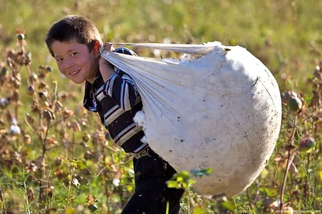 18 yoshga to‘lmaganlarning mehnatidan foydalanish taqiqlangan ishlar ro‘yxati