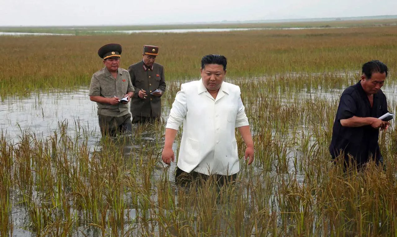 Kim Chen In tizza bo‘yi suv kechib sholipoyaga kirdi va amaldorlarga dakki berdi