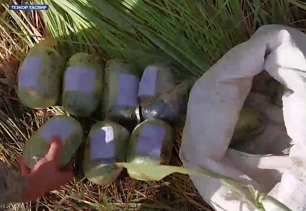 Qo‘shni davlatlardan olib kelingan qariyb 11 kg «opiy» musodara qilindi