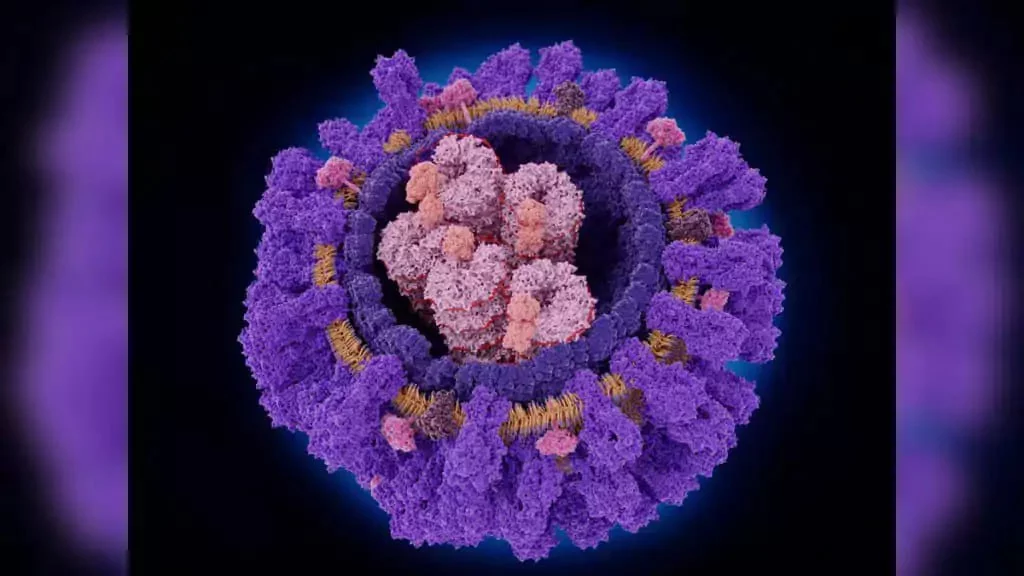 Бир нечта грипп вирусларини зарарсизлантира олиши мумкин бўлган янги антитела аниқланди