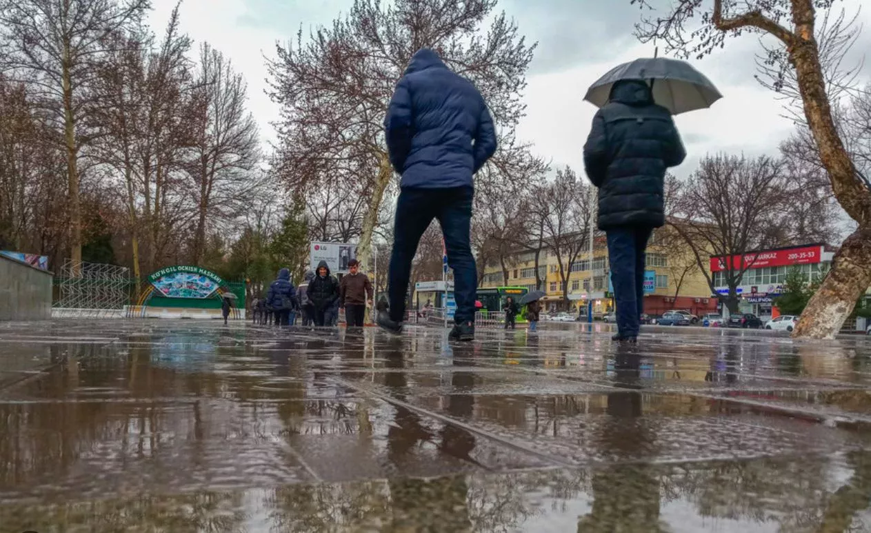 Ўзбекистонда қишнинг сўнгги куни қандай об-ҳаво бўлиши маълум қилинди