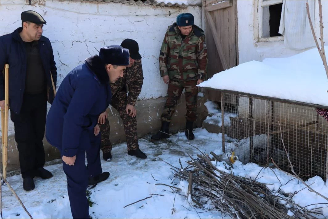 Қашқадарёда фуқаро ёввойи ҳайвон паррандаларини нобуд қилганини айтди