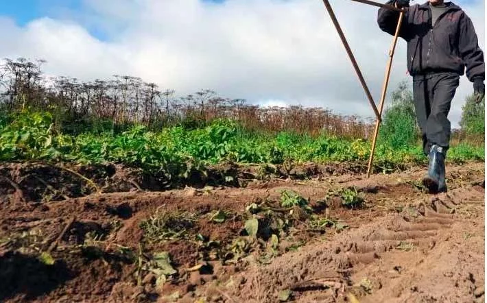 Fermerlarga ijara huquqini sotishga ruxsat beruvchi qonun loyihasi qabul qilindi