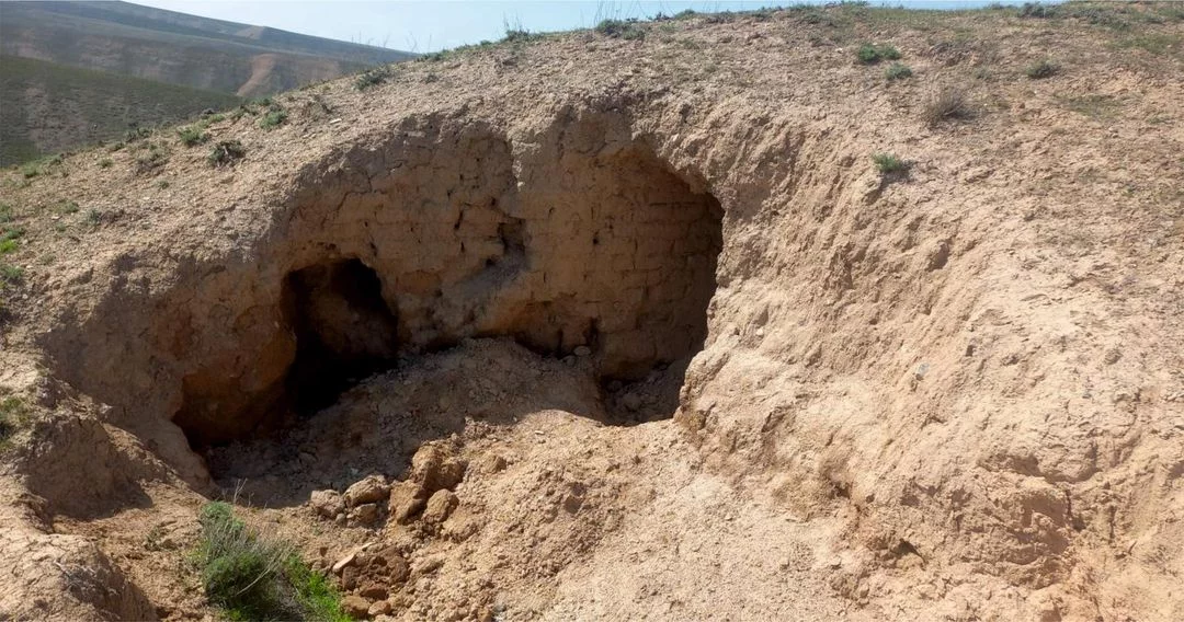 Tojikistonda VI-VIII asrlarga oid qasr xarobalari topildi (foto)