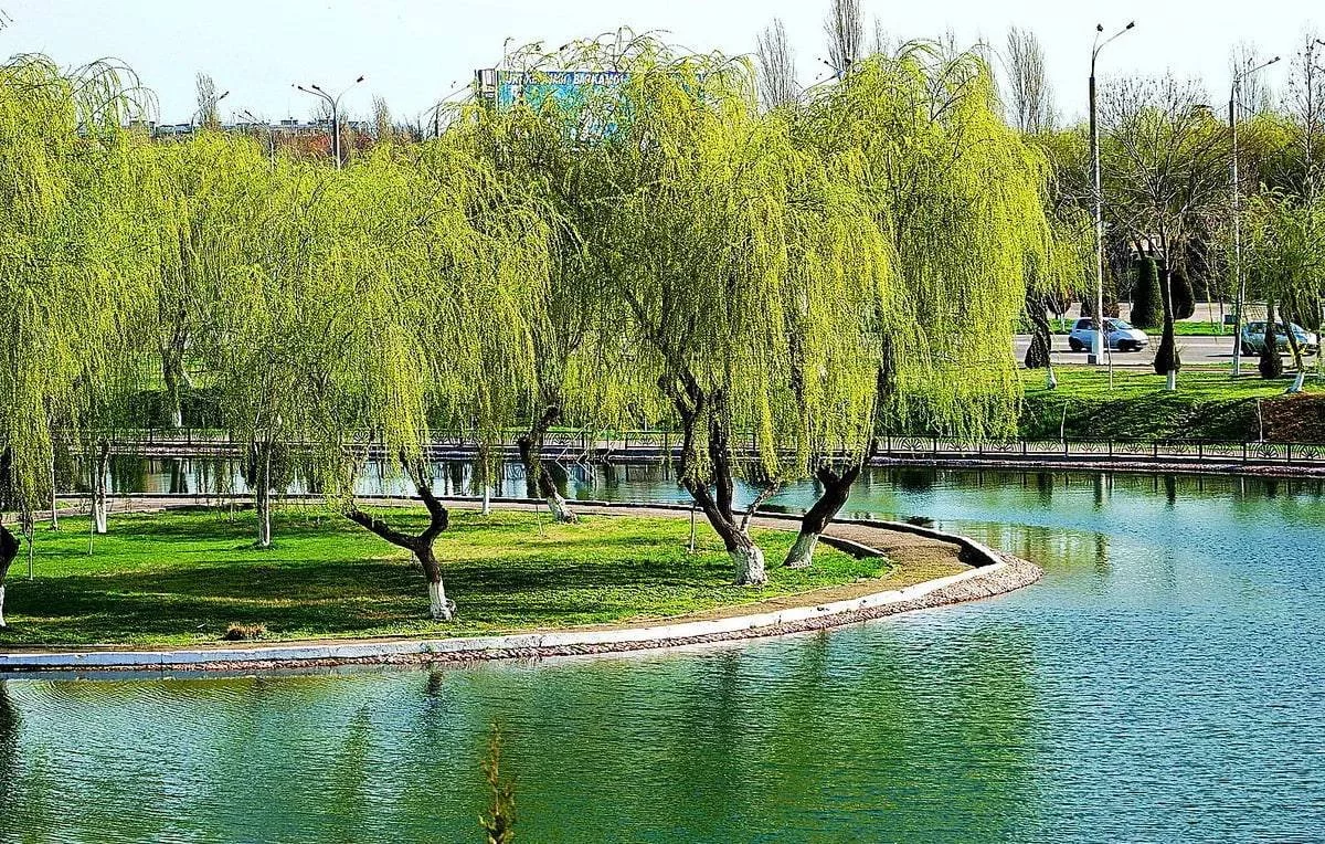 O‘zbekistonda 26 iyun kuni qanday ob-havo kuzatilishi ma’lum qilindi