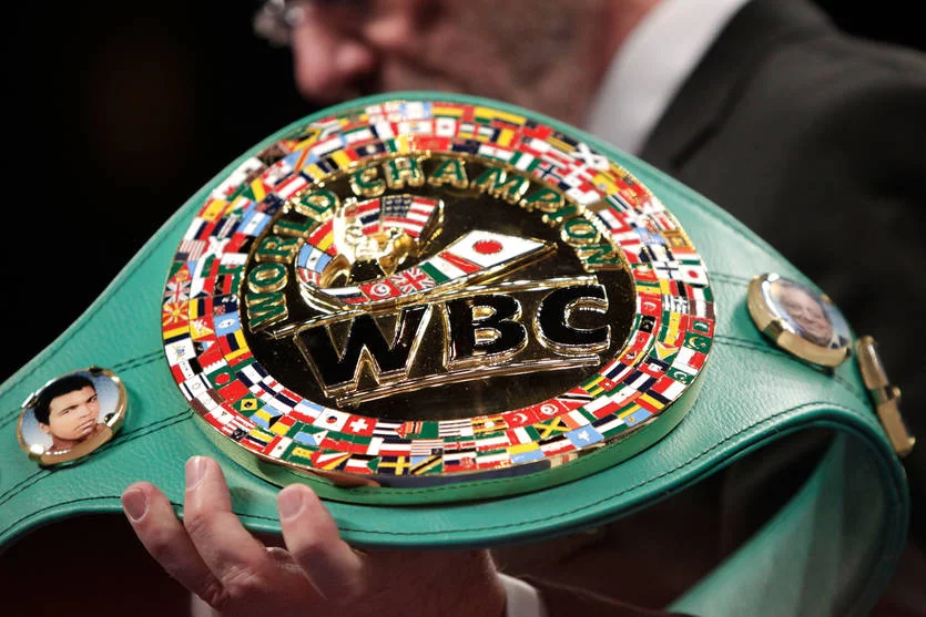WBC рейтинги янгиланди: Боксчиларимизнинг янгиланган рейтингдаги ўрни билан танишинг