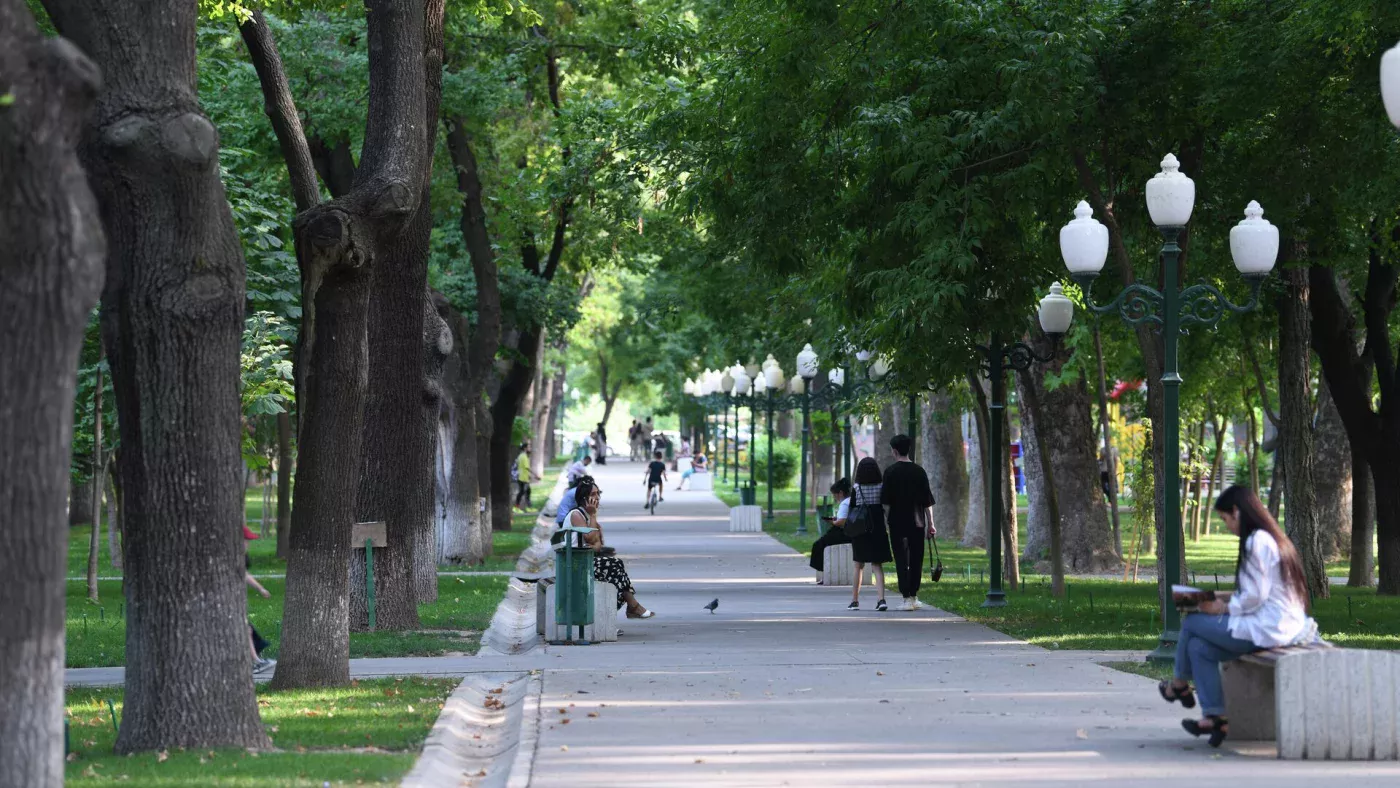 O‘zbekistonda dam olish kunlari nisbatan salqin havo bo‘ladi расм