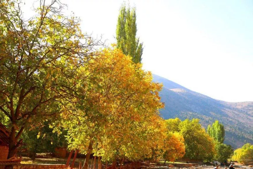 O‘zbekistonda 23 sentyabr kuni qanday ob-havo bo‘lishi ma’lum qilindi