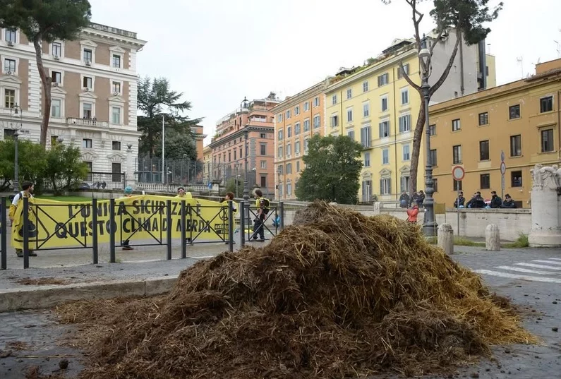 Italiyada ekofaollar norozilik ramzi sifatida IIV binosi qarshisiga go‘ng to‘kdi расм