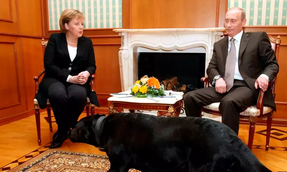 Putin o‘z labradori uchun Merkeldan uzr so‘radi