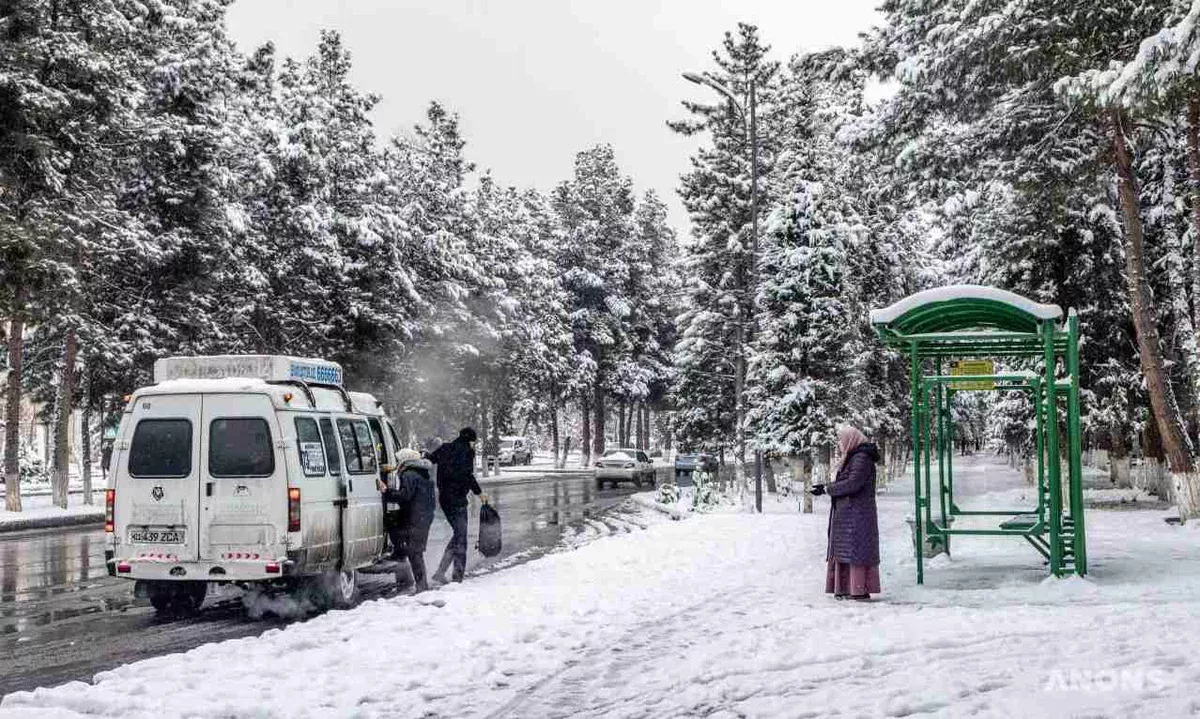 16 dekabr kuni uchun ob-havo prognozi e’lon qilindi