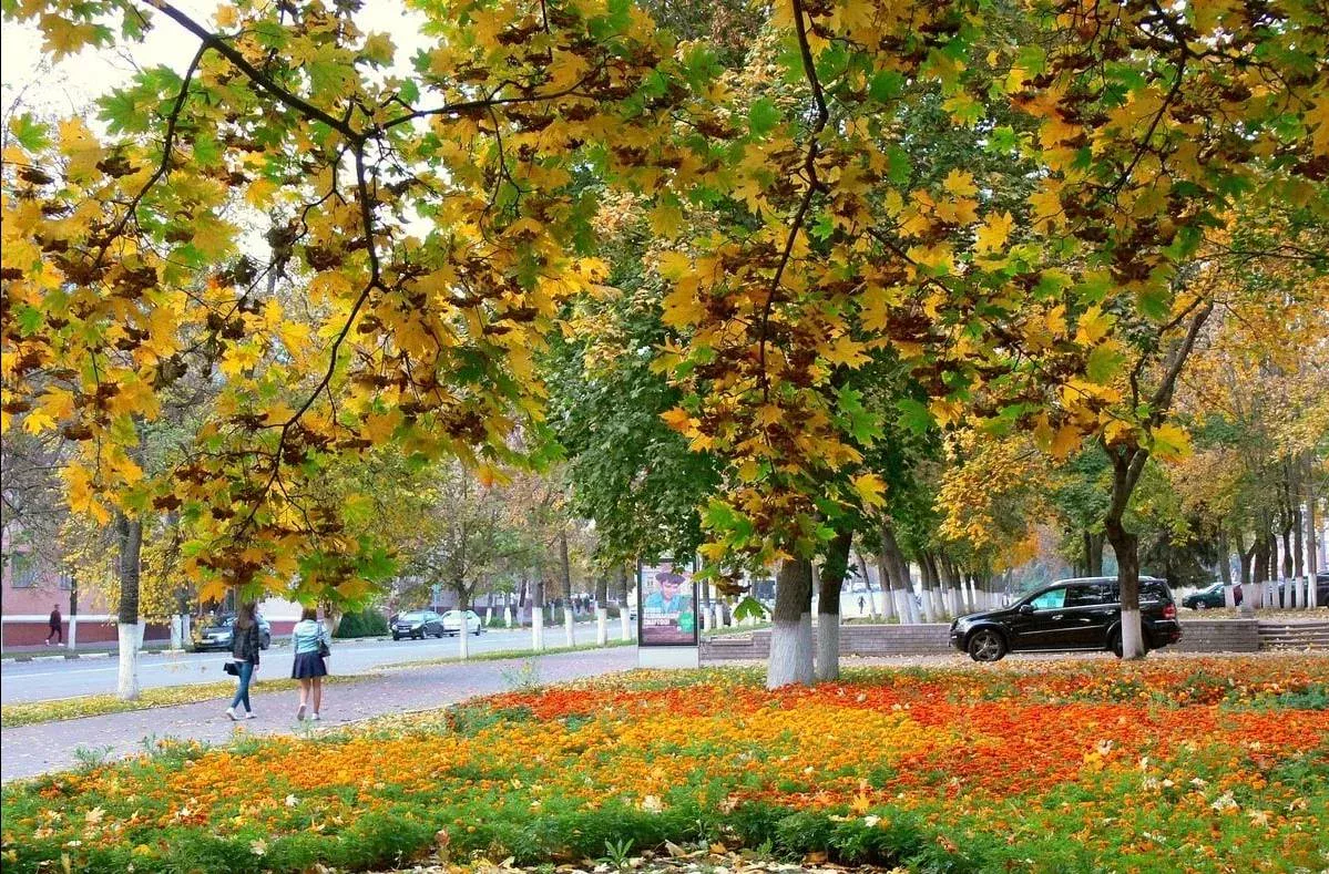 13 dekabr kuni kuzatiladigan ob-havo to‘g‘risida ma’lumot