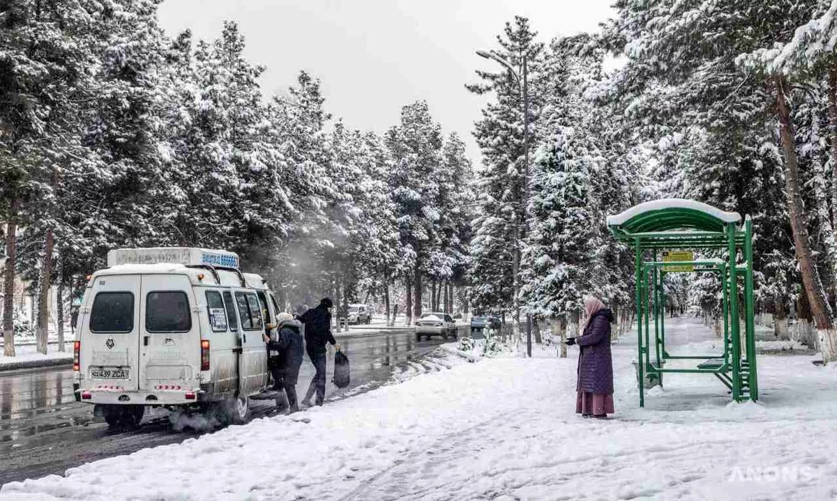 Oʻzbekistonga yana sovuq havo kirib kelmoqda расм