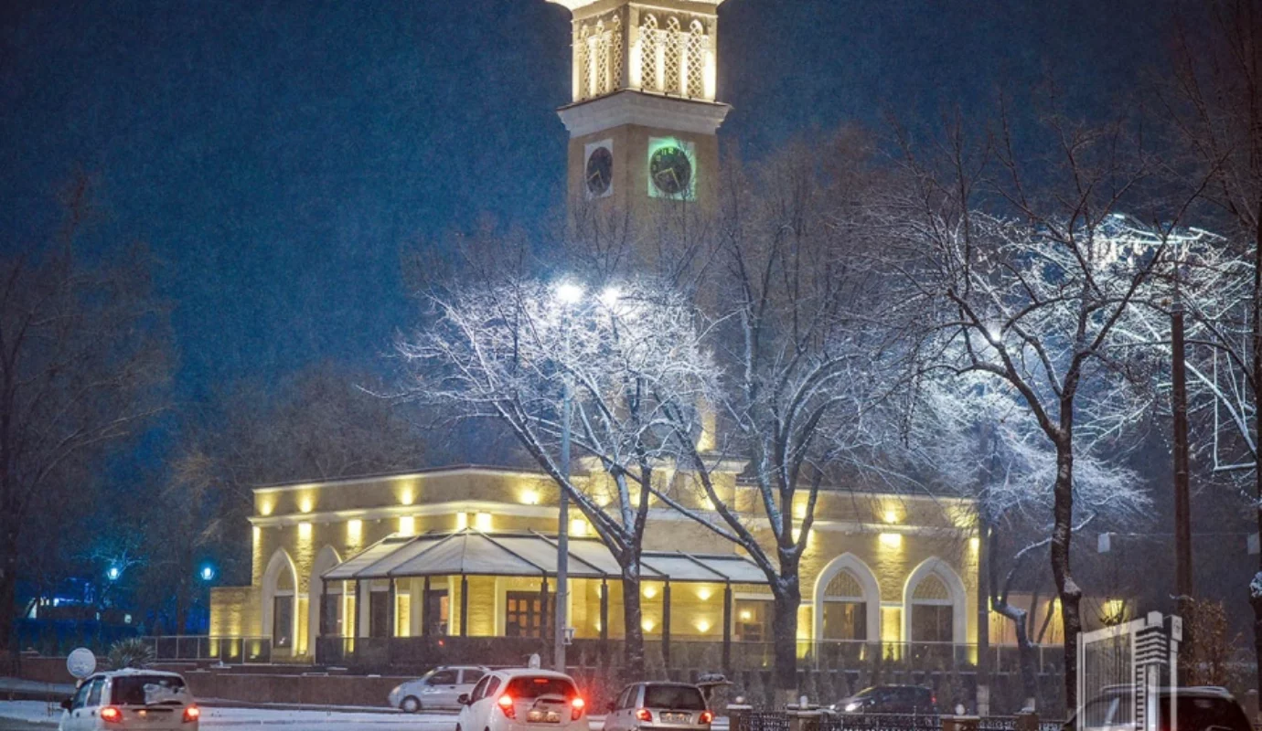 Snowfall in Tashkent (Photo)