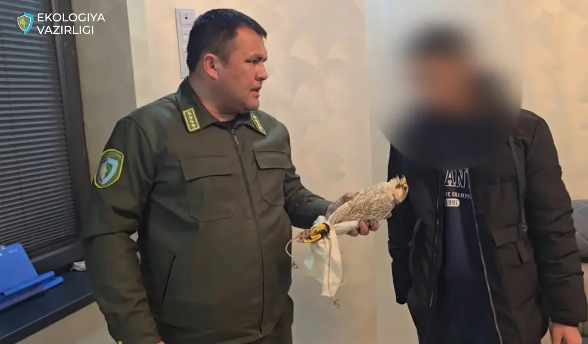 A citizen who illegally kept a rare bird was caught in Ferghana