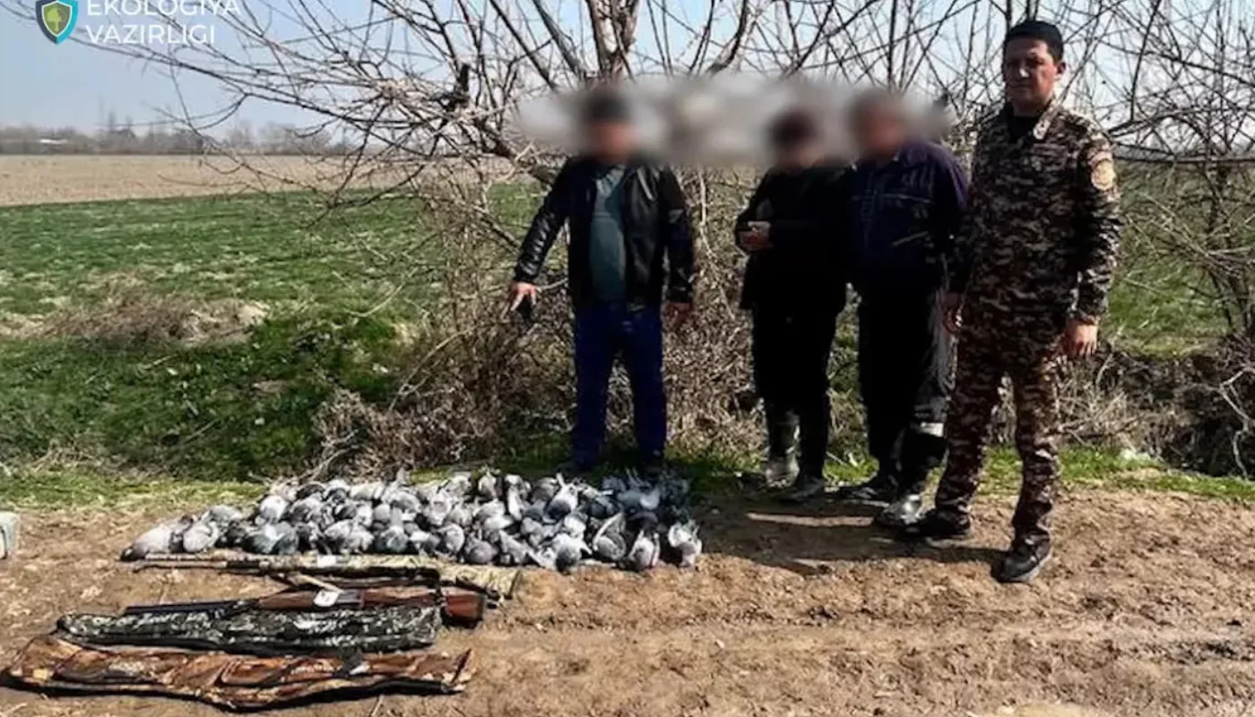 Two citizens killed 52 pigeons in Yangiyol