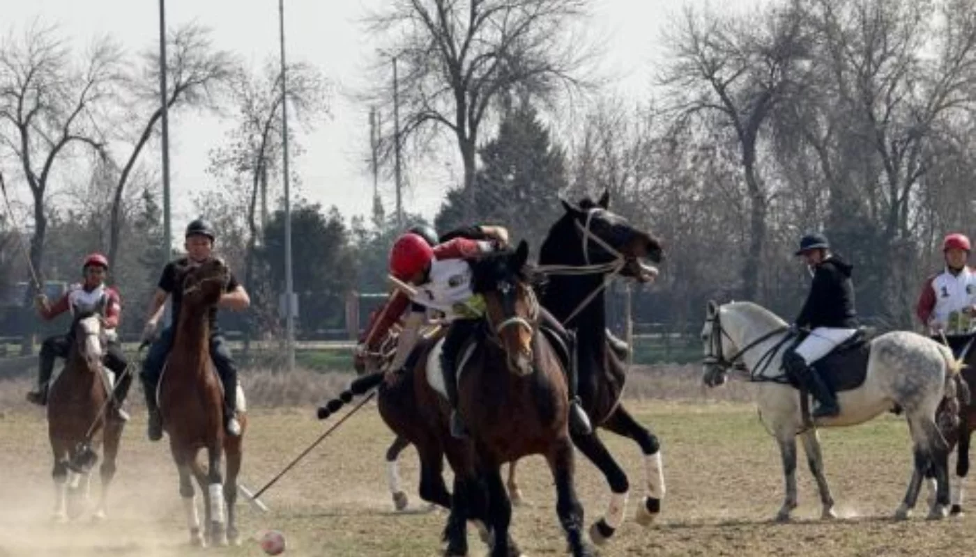 Chavandozlar ot ustida bellashdi