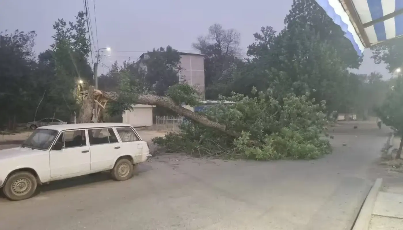 What happened during the dust storm in Tashkent?