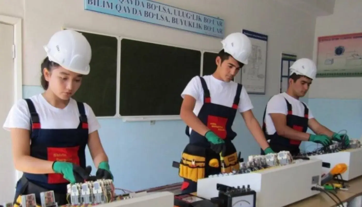 40 professions in which students can work have been announced