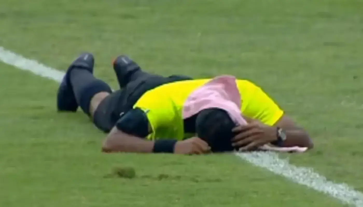 Football match in India temporarily suspended due to bee attack (video)