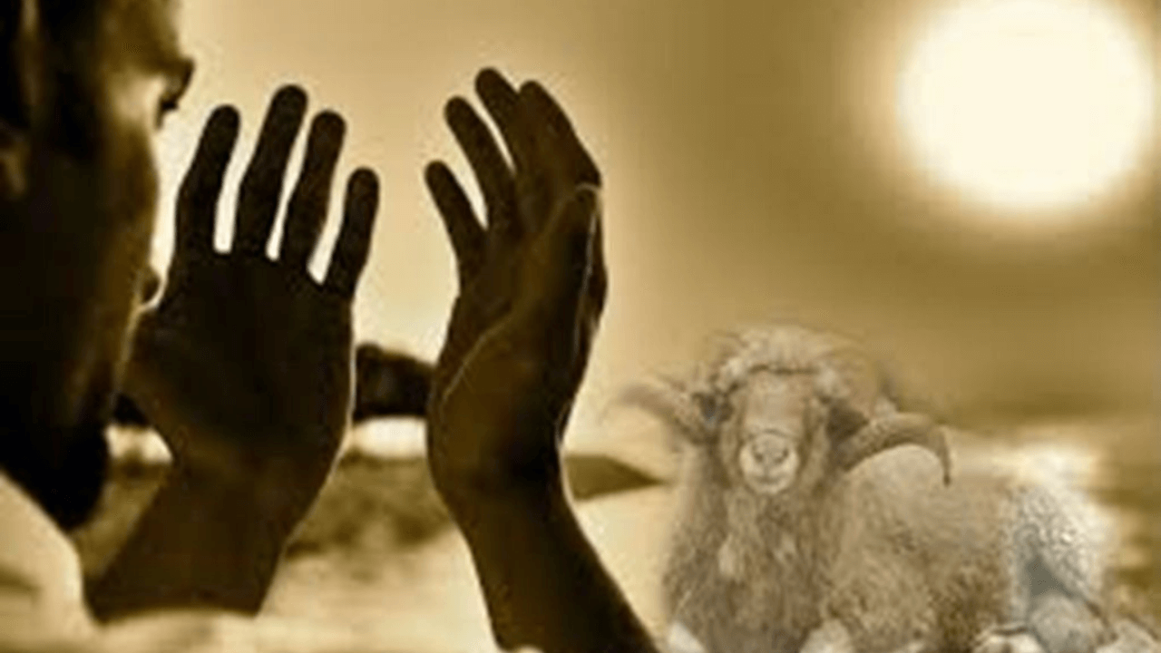 Sacrifice during Eid: for whom, how, and when?