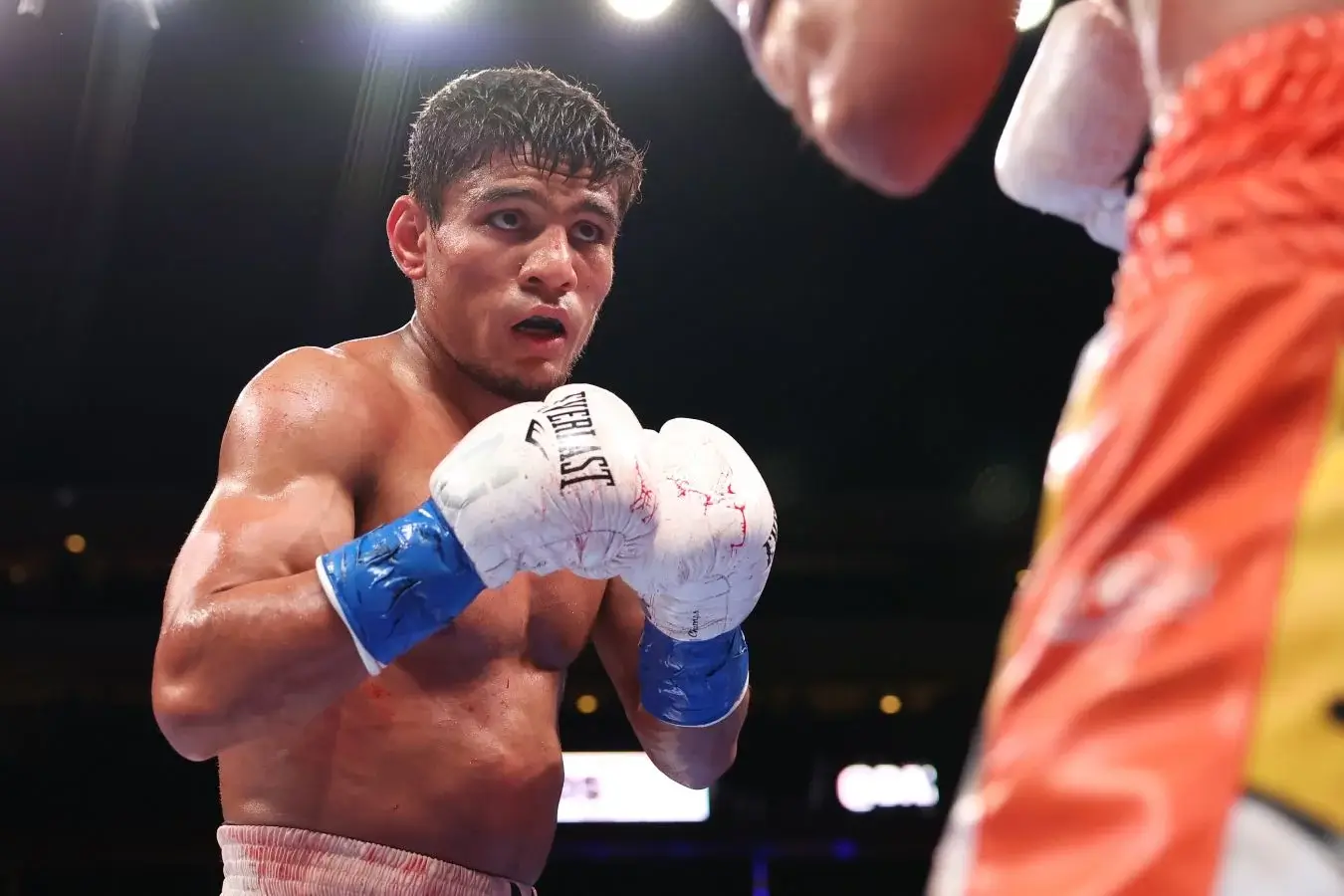 May is full of fights: MMA and boxing stars entertain the audience!