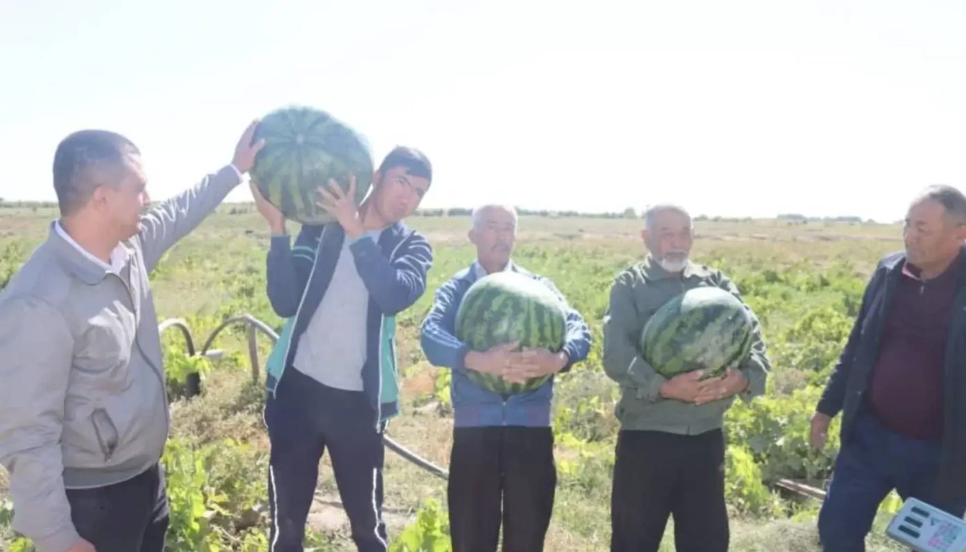 В Узбекистане внедряется новая система финансовой