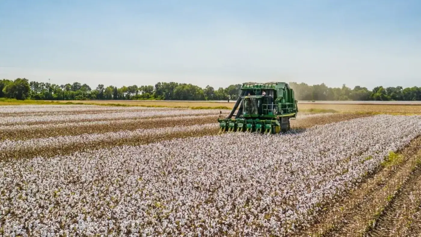 China to invest $95 million in cotton project in Surkhandarya