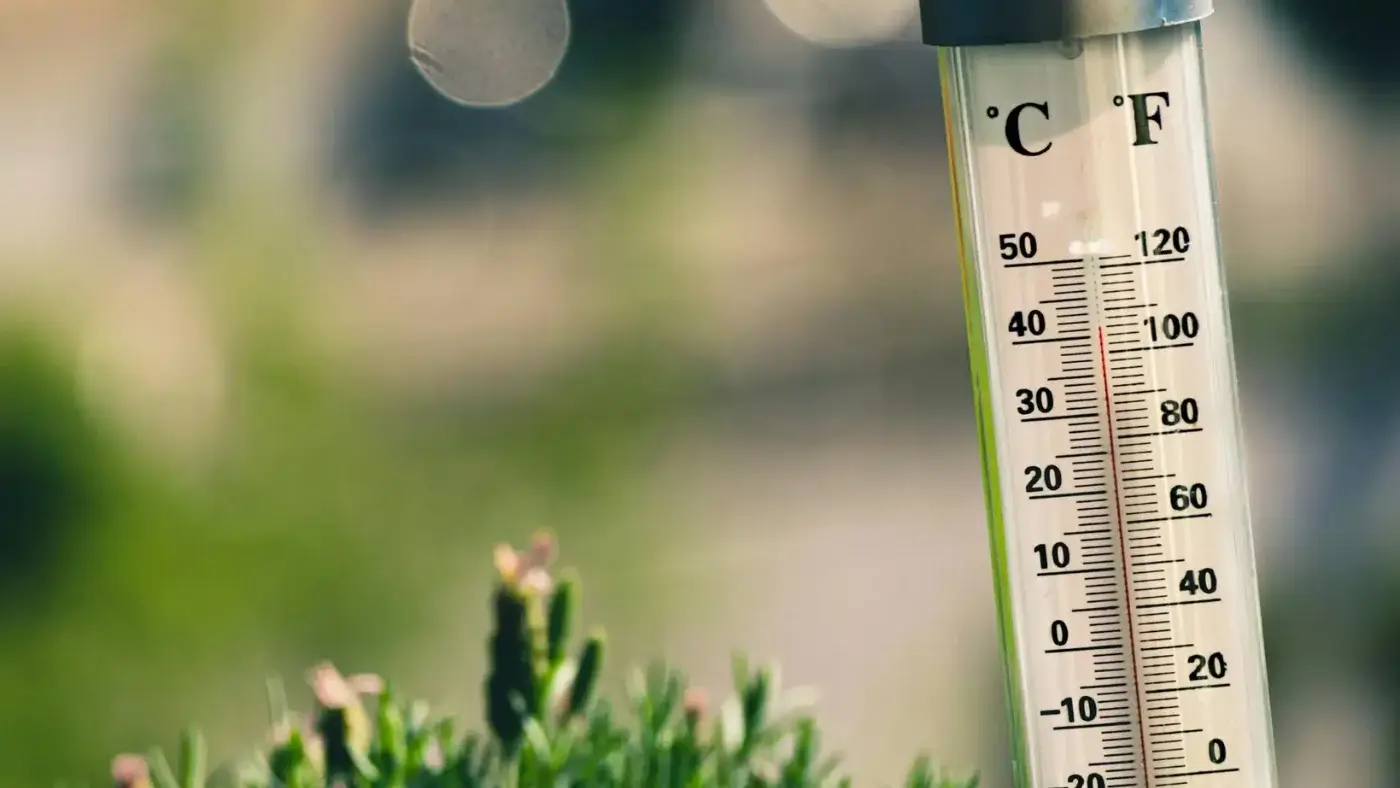 В Узбекистане ожидается повышение температуры до +40°C