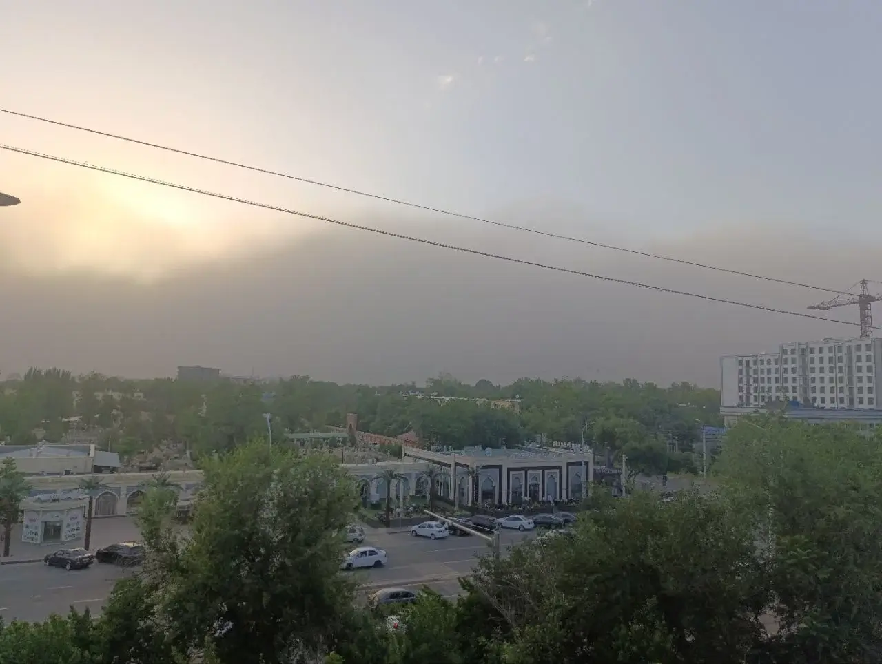 Тошкент шаҳрида кучли бўрон кузатилиб, қуюқ чанг кўтарилди