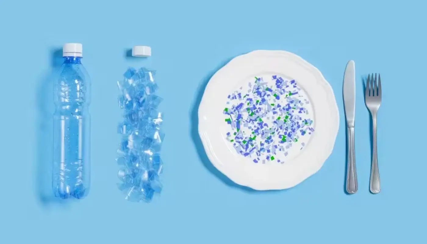 Hidden health risk: the connection between plastic particles and mental health has been revealed