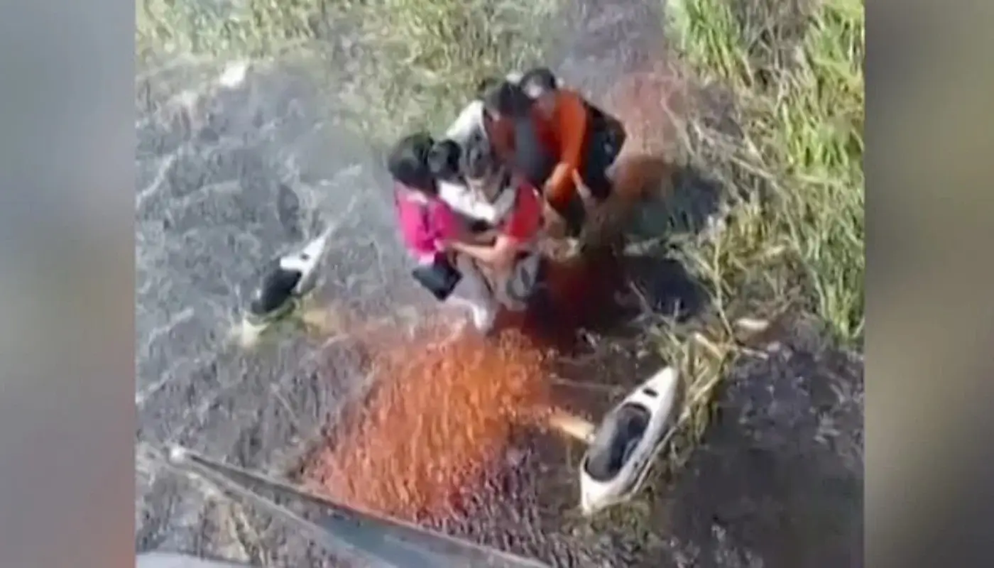 Plane Lands in the Amazon: Passengers Miraculously Survive