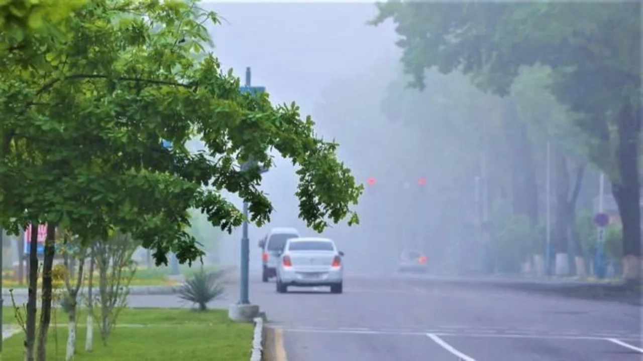 The weather forecast for June 19 has been announced