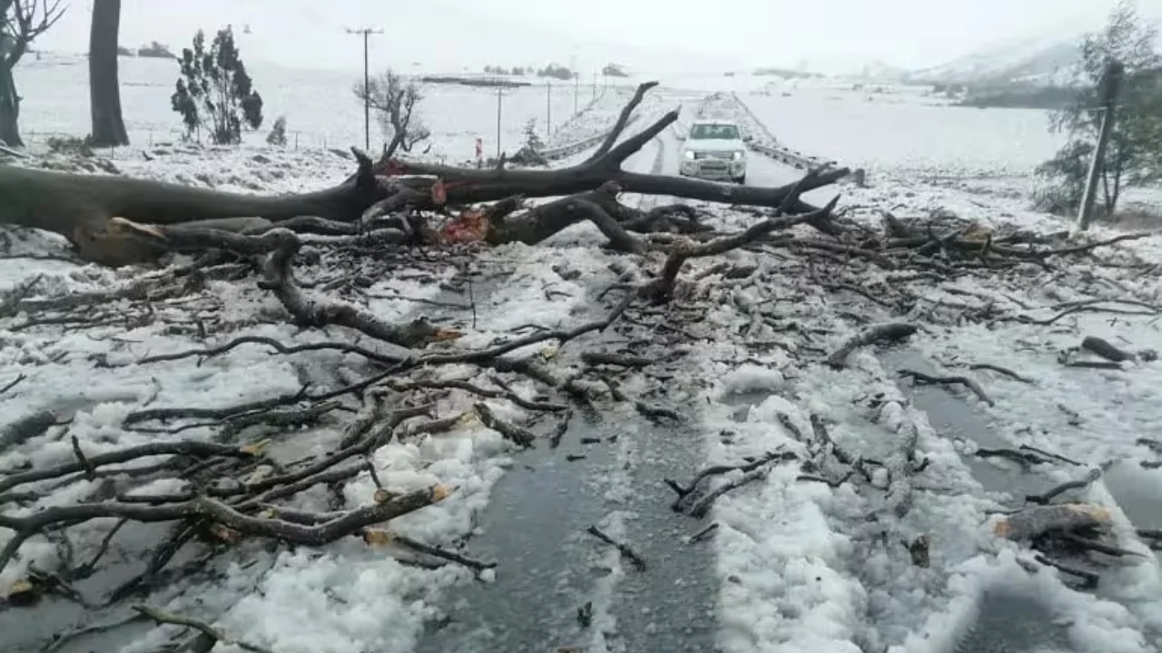 Жанубий Африкада сув тошқини ва қоронғу қиш қурбонлари ортиб бормоқда