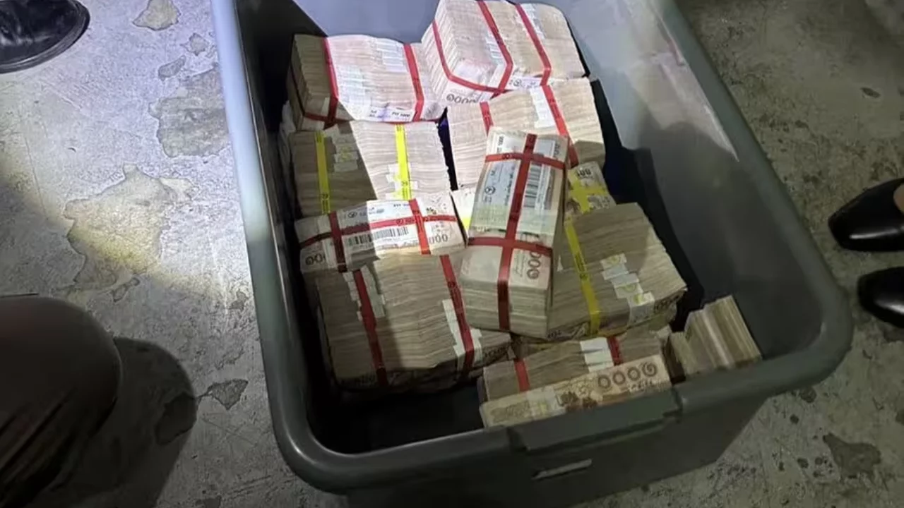 A treasure found in a dump: how did a random woman become a millionaire?