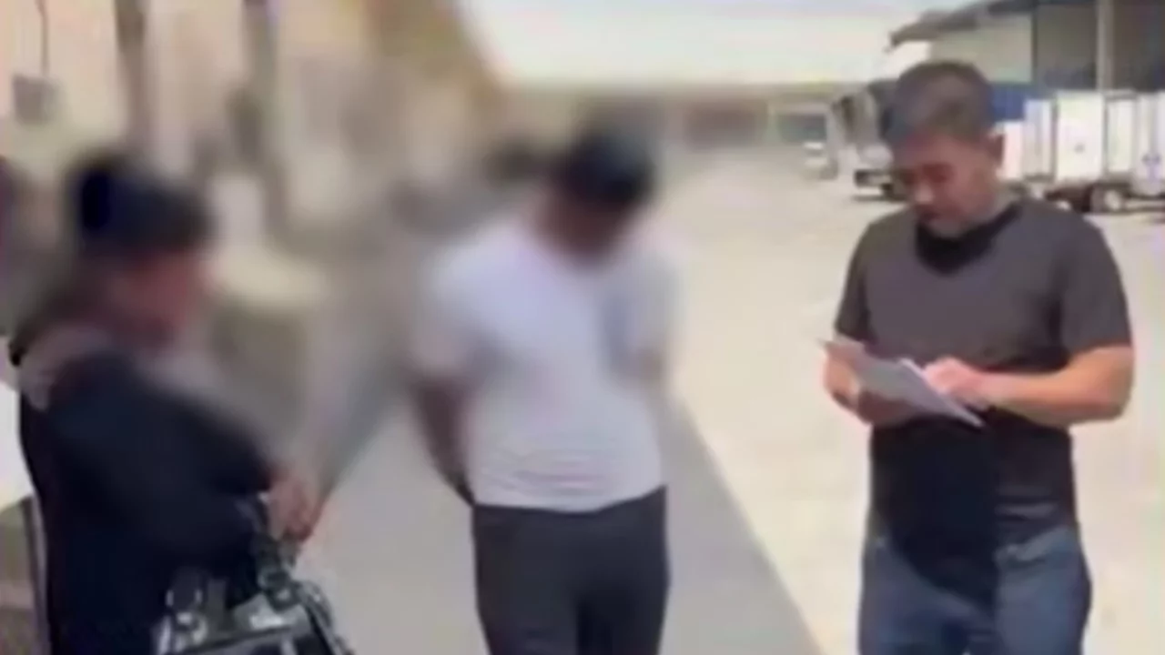 361 kg of donkey meat in Syrdarya: how did the driver get caught?