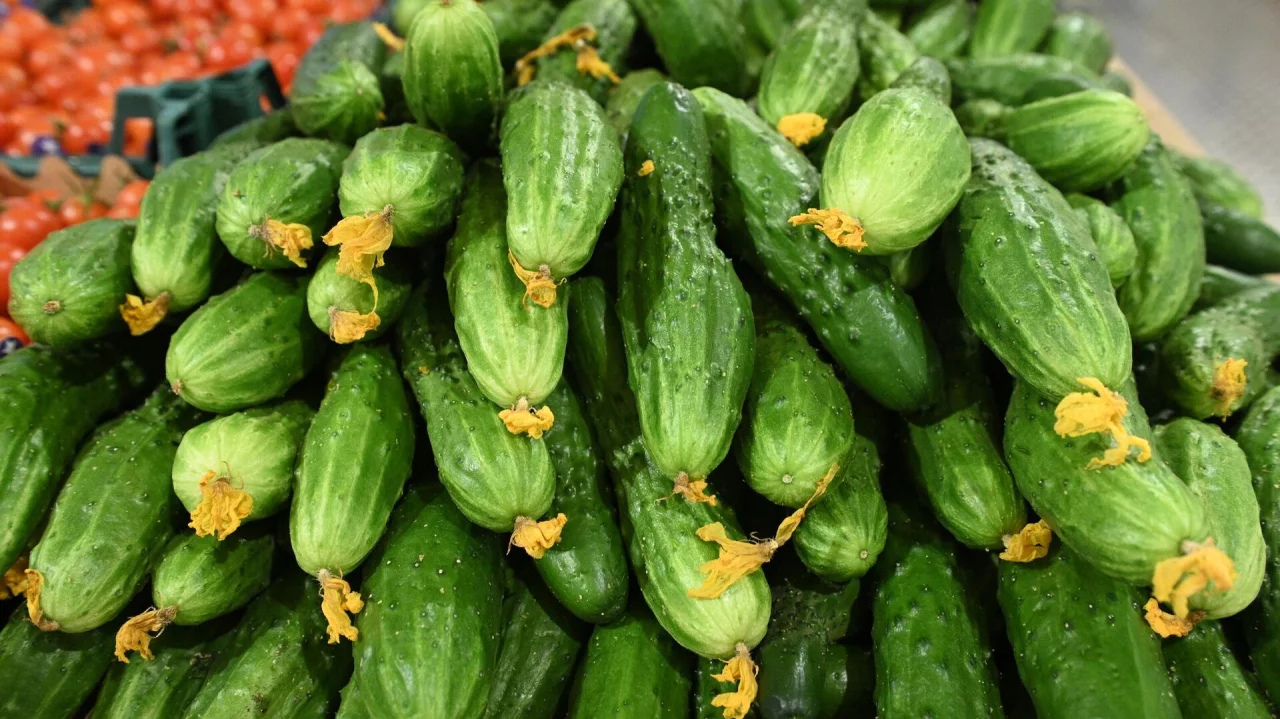Uzbekistan exported 3,100 tons of cucumbers in 4 months