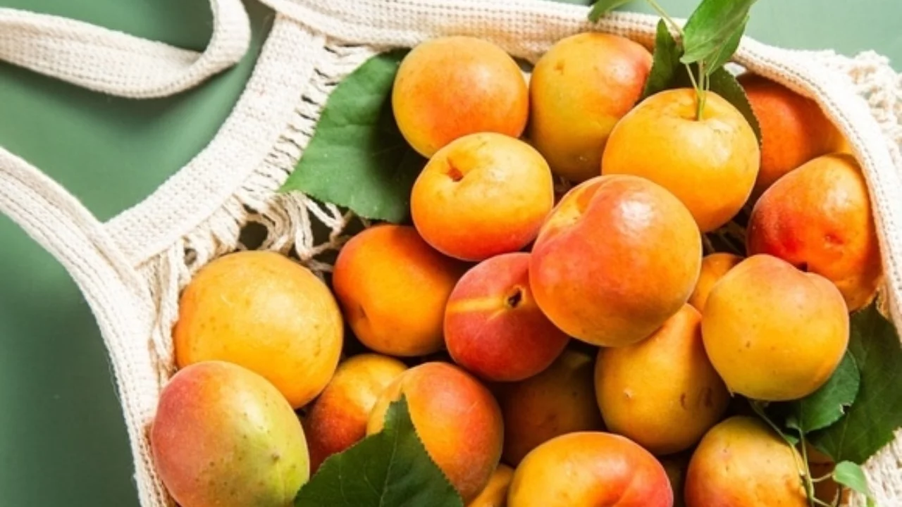 Apricot – the hidden hero of a healthy summer: why is this fruit necessary for our life?
