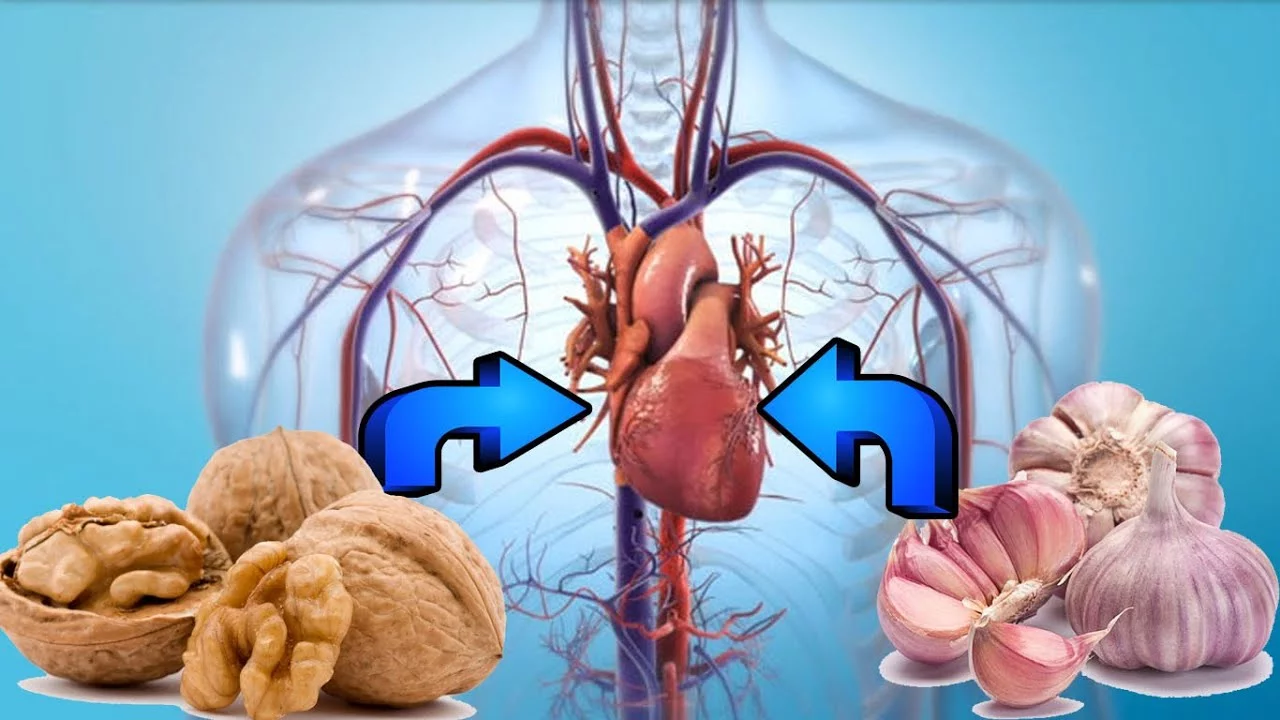 Cardiovascular Diseases: Hidden Danger and a Vital Health Recipe