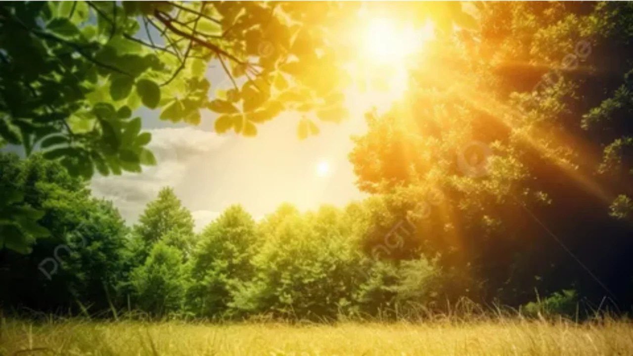 Weather forcast for June 24