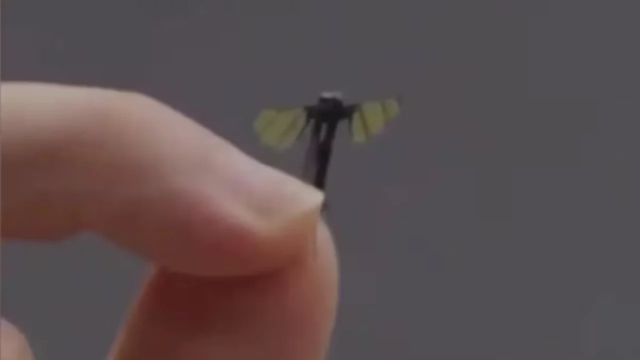 China Develops Mosquito-Sized Military Drone